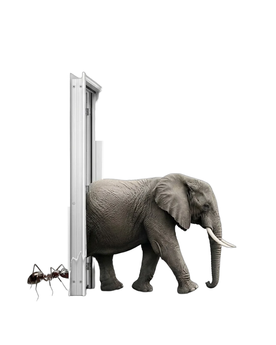 Un elefante entrando por una puerta mientras una hormiga espera al lado